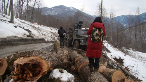 (2011.02.23) ЭкоВахта посетила район строительства олимпийской резиденции Путина и Медведева